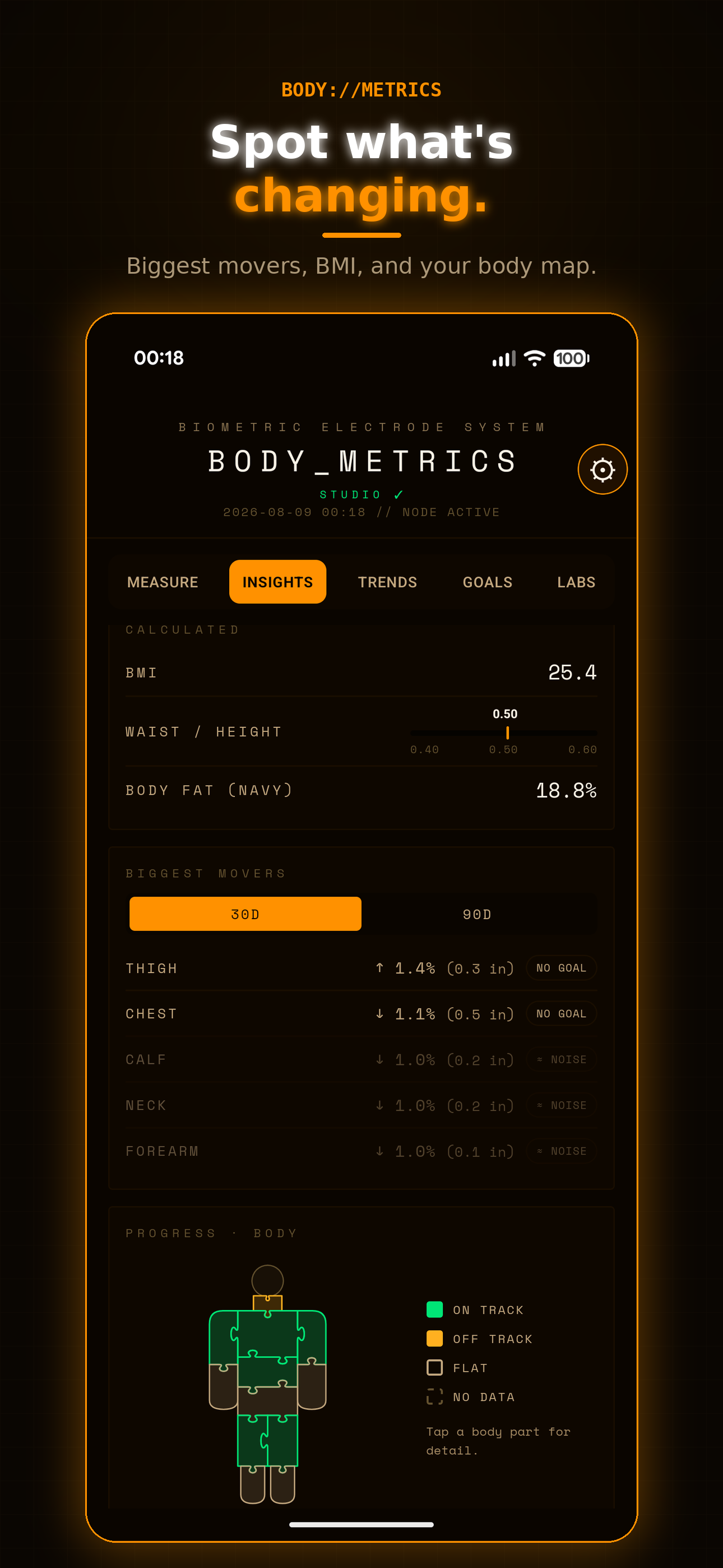 BodyMetrics Insights view