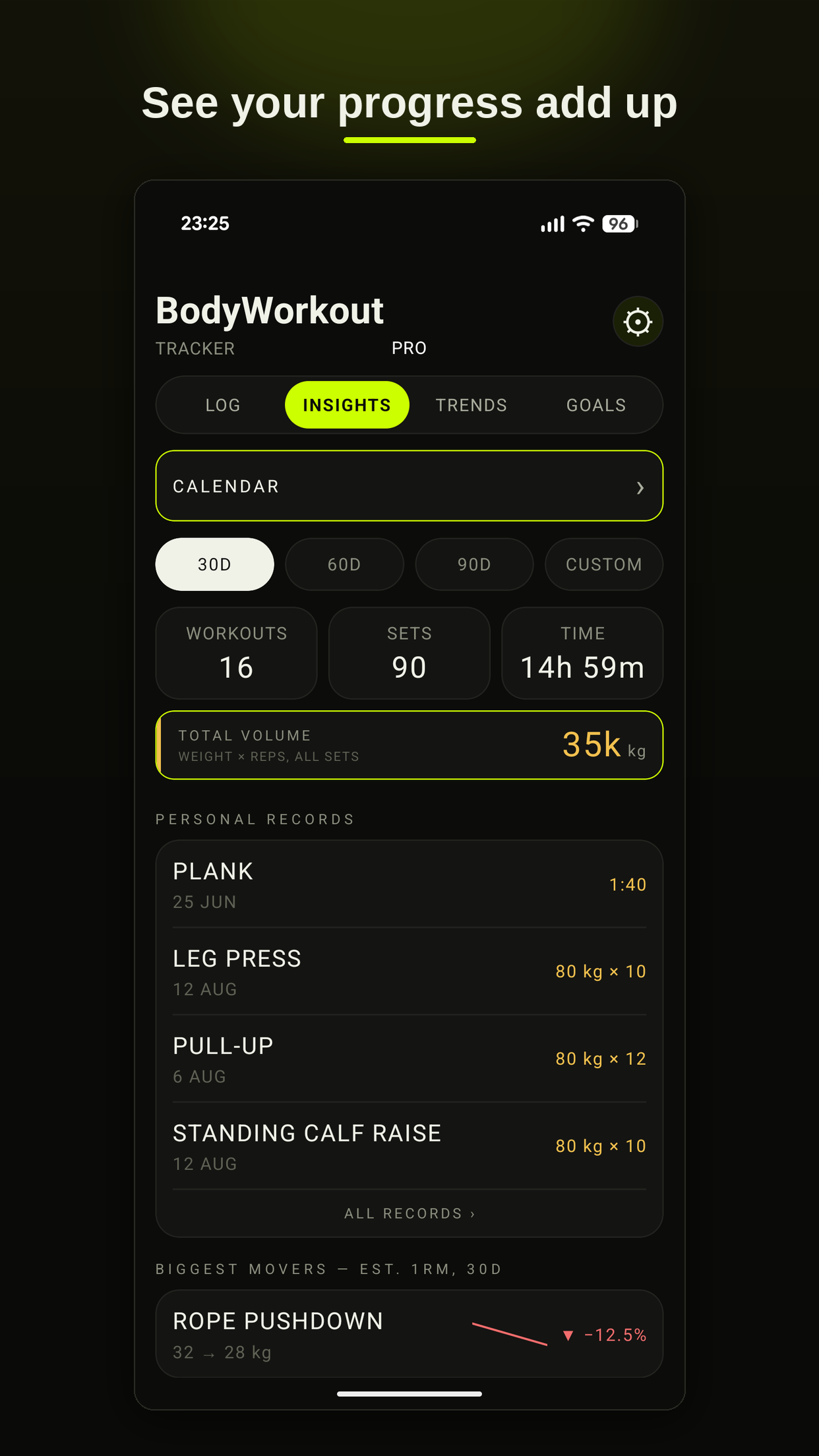 Body Workout statistics view